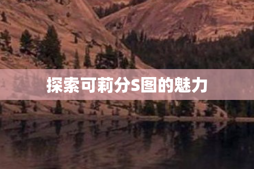探索可莉分S图的魅力 探索可莉分S图的魅力