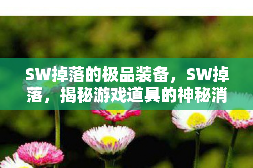 SW掉落的极品装备,SW掉落,揭秘游戏道具的神秘消失之旅 SW掉落的极品装备,SW掉落,揭秘游戏道具的神秘消失之旅