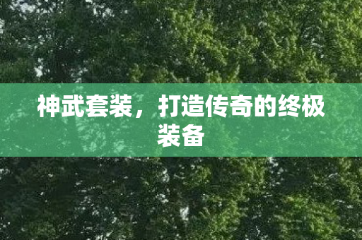 神武套装,打造传奇的终极装备 神武套装,打造传奇的终极装备