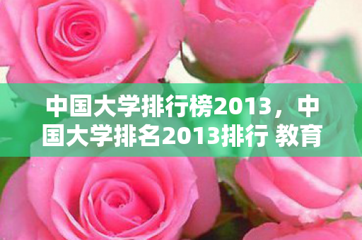 中国大学排行榜2013，中国大学排名2013排行 教育部