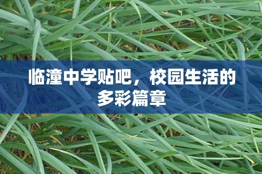 临潼中学贴吧,校园生活的多彩篇章 临潼中学贴吧,校园生活的多彩篇章