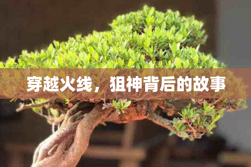 穿越火线，狙神背后的故事