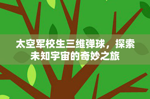太空军校生三维弹球，探索未知宇宙的奇妙之旅
