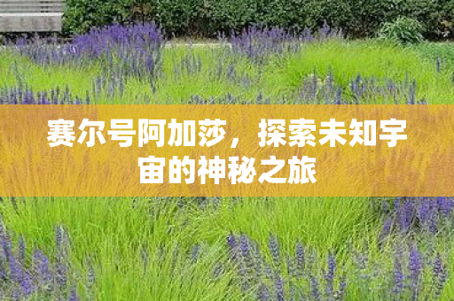 赛尔号阿加莎，探索未知宇宙的神秘之旅