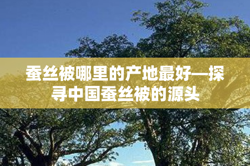 蚕丝被哪里的产地最好—探寻中国蚕丝被的源头 蚕丝被哪里的产地最好—探寻中国蚕丝被的源头