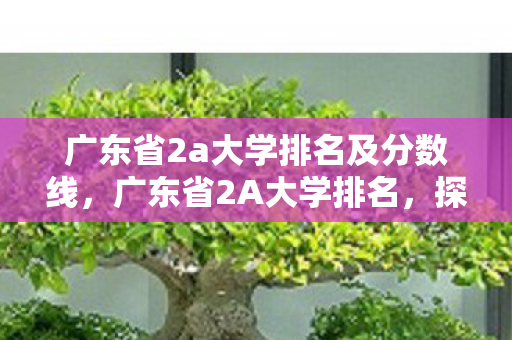 广东省2a大学排名及分数线，广东省2A大学排名，探索学术与就业的平衡点