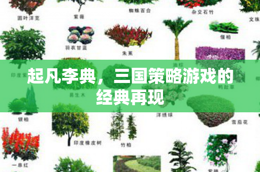 起凡李典,三国策略游戏的经典再现 起凡李典,三国策略游戏的经典再现