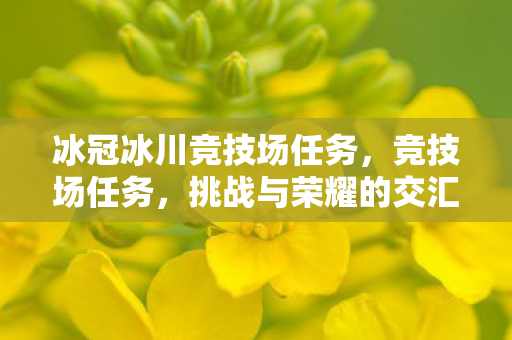 冰冠冰川竞技场任务，竞技场任务，挑战与荣耀的交汇点