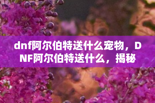 dnf阿尔伯特送什么宠物，DNF阿尔伯特送什么，揭秘游戏内神秘NPC的馈赠