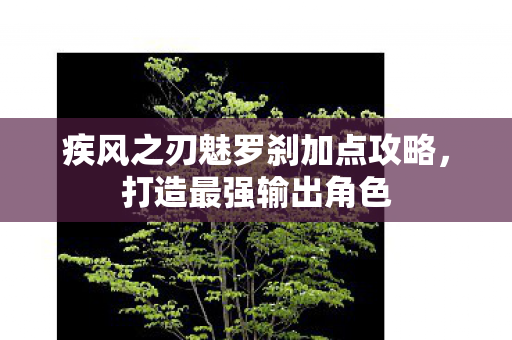 疾风之刃魅罗刹加点攻略,打造最强输出角色 疾风之刃魅罗刹加点攻略,打造最强输出角色