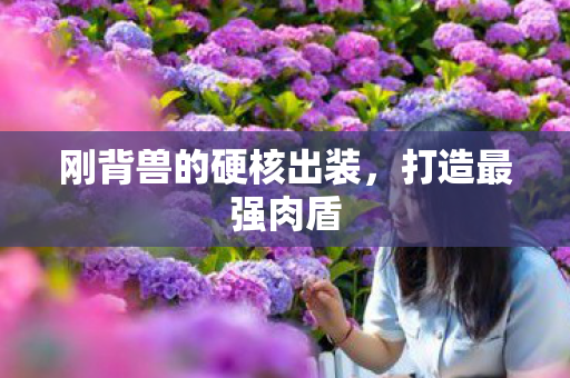 刚背兽的硬核出装,打造最强肉盾 刚背兽的硬核出装,打造最强肉盾