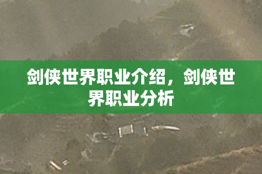 剑侠世界职业介绍，剑侠世界职业分析