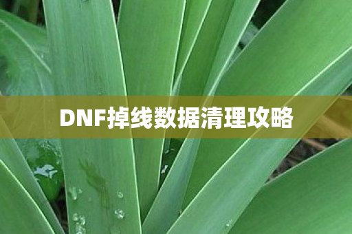DNF掉线数据清理攻略 DNF掉线数据清理攻略