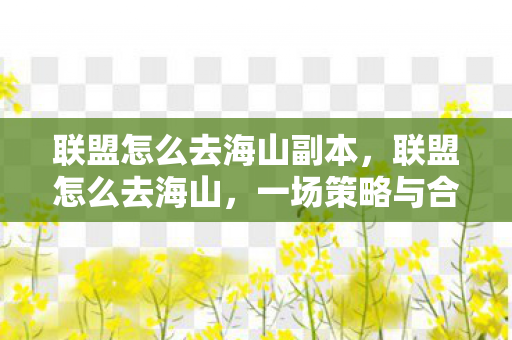 联盟怎么去海山副本,联盟怎么去海山,一场策略与合作的冒险之旅 联盟怎么去海山副本,联盟怎么去海山,一场策略与合作的冒险之旅