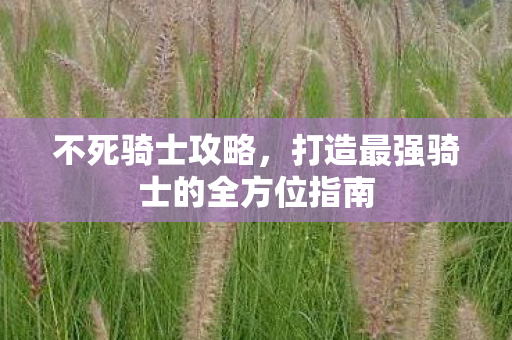 不死骑士攻略,打造最强骑士的全方位指南 不死骑士攻略,打造最强骑士的全方位指南