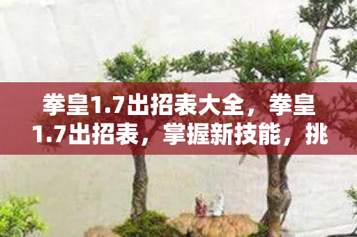 拳皇1.7出招表大全,拳皇1.7出招表,掌握新技能,挑战新高度 拳皇1.7出招表大全,拳皇1.7出招表,掌握新技能,挑战新高度