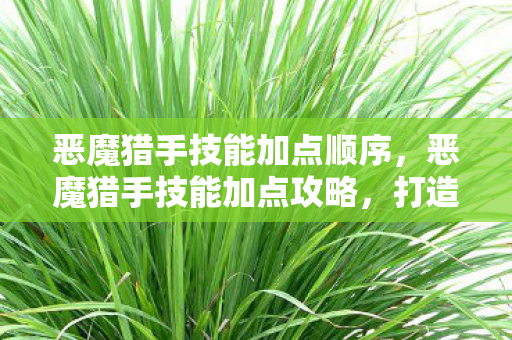 恶魔猎手技能加点顺序，恶魔猎手技能加点攻略，打造最强战斗力的关键