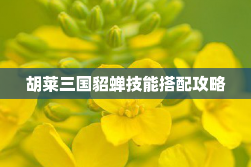 胡莱三国貂蝉技能搭配攻略 胡莱三国貂蝉技能搭配攻略