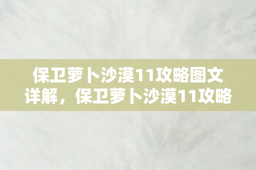 保卫萝卜沙漠11攻略图文详解，保卫萝卜沙漠11攻略，策略与技巧的全面解析