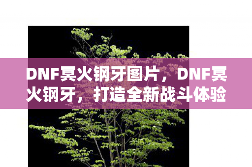 DNF冥火钢牙图片,DNF冥火钢牙,打造全新战斗体验 DNF冥火钢牙图片,DNF冥火钢牙,打造全新战斗体验