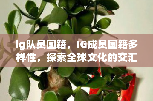 ig队员国籍,IG成员国籍多样性,探索全球文化的交汇点 ig队员国籍,IG成员国籍多样性,探索全球文化的交汇点
