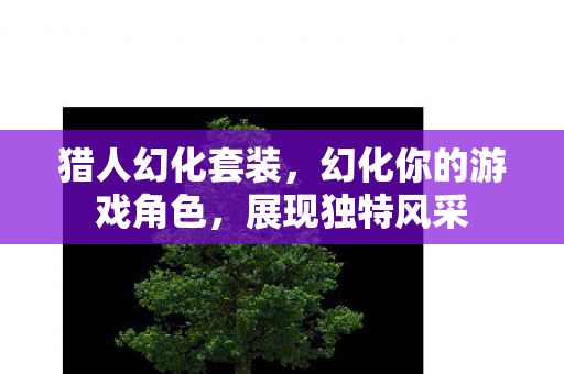 猎人幻化套装，幻化你的游戏角色，展现独特风采