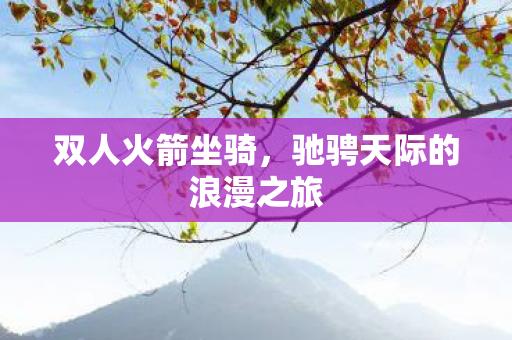 双人火箭坐骑,驰骋天际的浪漫之旅 双人火箭坐骑,驰骋天际的浪漫之旅