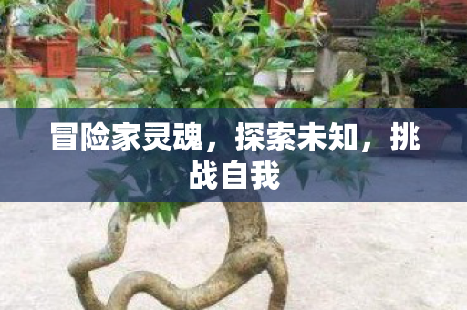 冒险家灵魂，探索未知，挑战自我