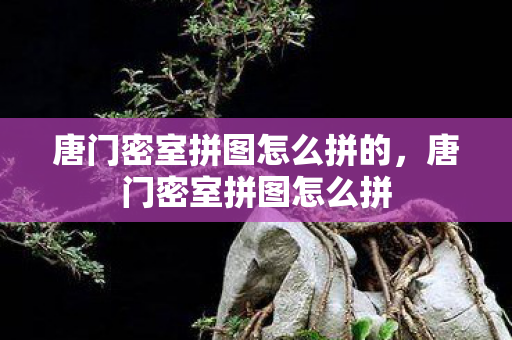 唐门密室拼图怎么拼的，唐门密室拼图怎么拼