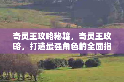 奇灵王攻略秘籍,奇灵王攻略,打造最强角色的全面指南 奇灵王攻略秘籍,奇灵王攻略,打造最强角色的全面指南