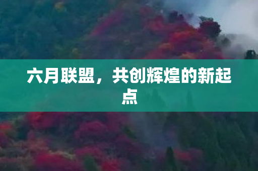 六月联盟，共创辉煌的新起点