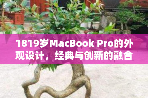 1819岁MacBook Pro的外观设计,经典与创新的融合 1819岁MacBook Pro的外观设计,经典与创新的融合