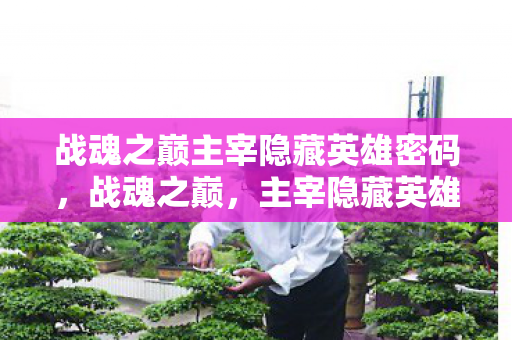 战魂之巅主宰隐藏英雄密码，战魂之巅，主宰隐藏英雄的神秘面纱