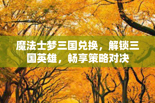 魔法士梦三国兑换,解锁三国英雄,畅享策略对决 魔法士梦三国兑换,解锁三国英雄,畅享策略对决