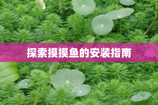 探索摸摸鱼的安装指南 探索摸摸鱼的安装指南