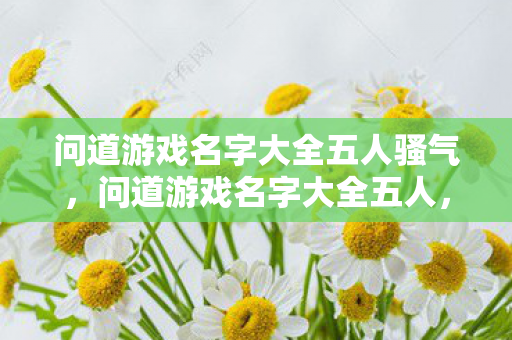 问道游戏名字大全五人骚气,问道游戏名字大全五人,精选霸气五人组队昵称合集 问道游戏名字大全五人骚气,问道游戏名字大全五人,精选霸气五人组队昵称合集