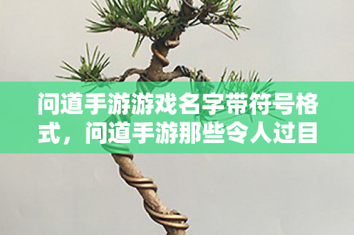问道手游游戏名字带符号格式，问道手游那些令人过目不忘的游戏名字，每一个都藏着玩家的江湖梦