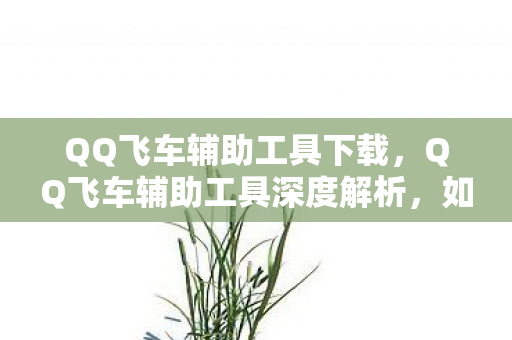 QQ飞车辅助工具下载，QQ飞车辅助工具深度解析，如何选择安全高效的赛道助手