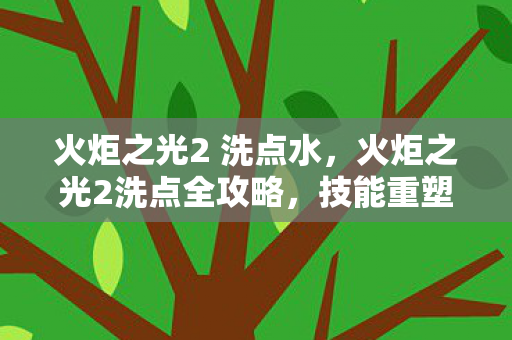 火炬之光2 洗点水,火炬之光2洗点全攻略,技能重塑与角色进阶的终极指南 火炬之光2 洗点水,火炬之光2洗点全攻略,技能重塑与角色进阶的终极指南