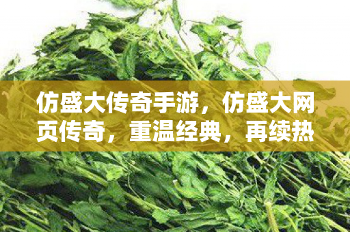 仿盛大传奇手游，仿盛大网页传奇，重温经典，再续热血传奇之旅