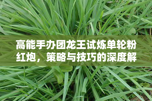 高能手办团龙王试炼单轮粉红炮，策略与技巧的深度解析