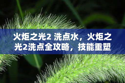 火炬之光2 洗点水,火炬之光2洗点全攻略,技能重塑与角色进阶的终极指南 火炬之光2 洗点水,火炬之光2洗点全攻略,技能重塑与角色进阶的终极指南