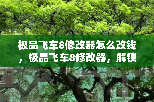 极品飞车8修改器怎么改钱，极品飞车8修改器，解锁速度与激情的无限可能