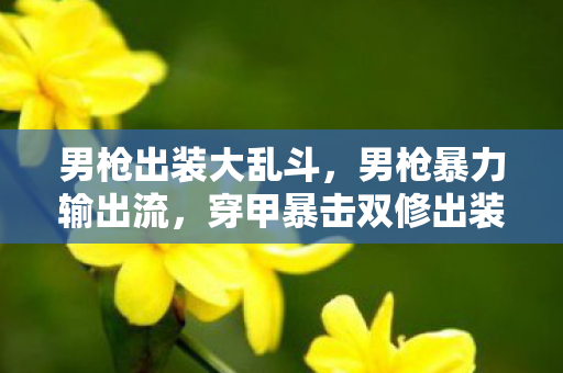 男枪出装大乱斗,男枪暴力输出流,穿甲暴击双修出装全解析 男枪出装大乱斗,男枪暴力输出流,穿甲暴击双修出装全解析