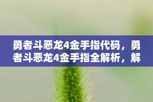 勇者斗恶龙4金手指代码，勇者斗恶龙4金手指全解析，解锁隐藏玩法，畅享经典RPG新体验