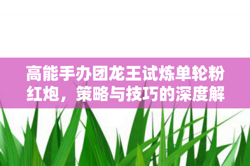 高能手办团龙王试炼单轮粉红炮,策略与技巧的深度解析 高能手办团龙王试炼单轮粉红炮,策略与技巧的深度解析