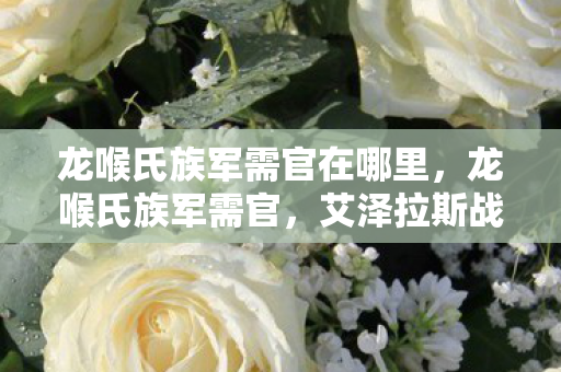 龙喉氏族军需官在哪里,龙喉氏族军需官,艾泽拉斯战火中的资源枢纽与战略支点 龙喉氏族军需官在哪里,龙喉氏族军需官,艾泽拉斯战火中的资源枢纽与战略支点
