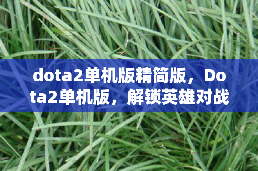dota2单机版精简版,Dota2单机版,解锁英雄对战的沉浸式体验新维度 dota2单机版精简版,Dota2单机版,解锁英雄对战的沉浸式体验新维度