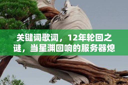 关键词歌词，12年轮回之谜，当星渊回响的服务器熄灭，为何千万玩家泪目？