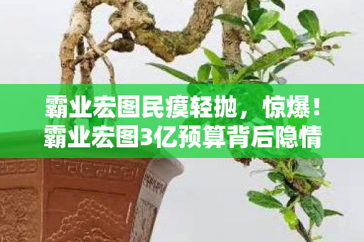 霸业宏图民瘼轻抛,惊爆!霸业宏图3亿预算背后隐情,竟藏着让玩家吓一跳的秘密! 霸业宏图民瘼轻抛,惊爆!霸业宏图3亿预算背后隐情,竟藏着让玩家吓一跳的秘密!